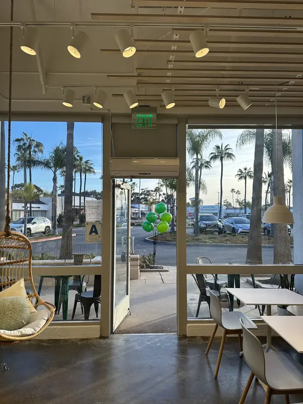 Inside Pure Green Carlsbad with a rattan hanging chair and palm-lined street view