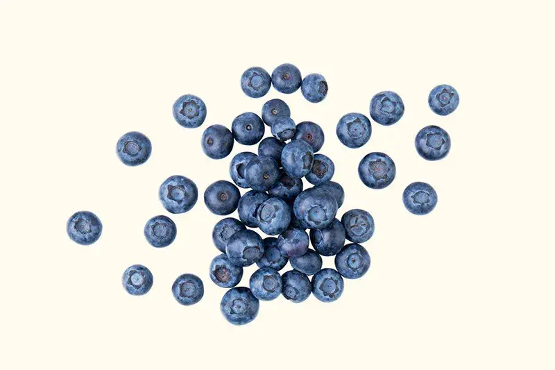 Fresh blueberries