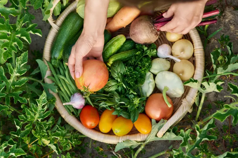 Vegetable Juice Power: The 10 Best Veggies for Your Daily Blend