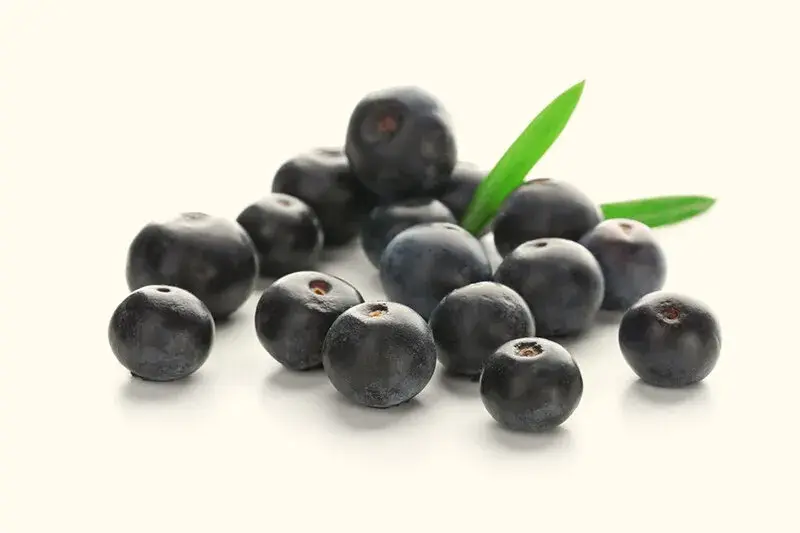 Deep purple açaí berries