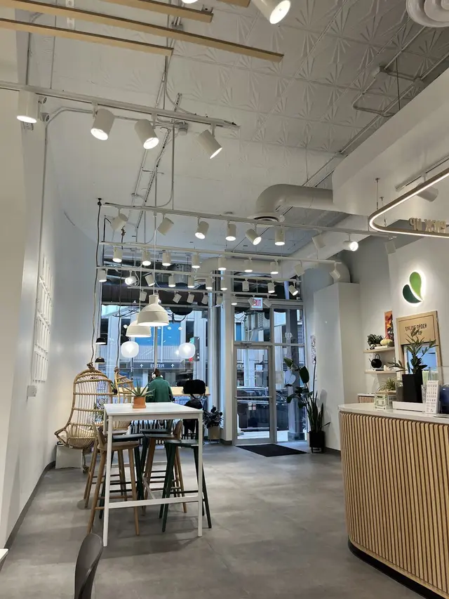 Window stools and the order counter inside Pure Green River North