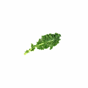 kale ingredient