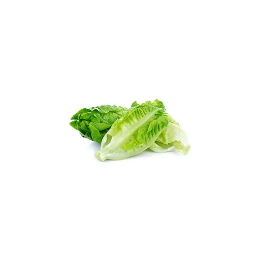 romaine lettuce