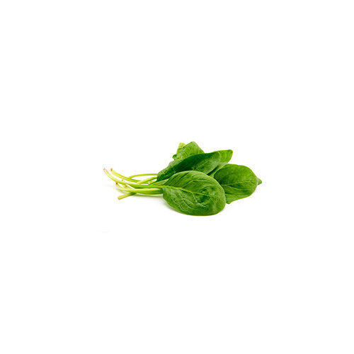 spinach vegetable juice