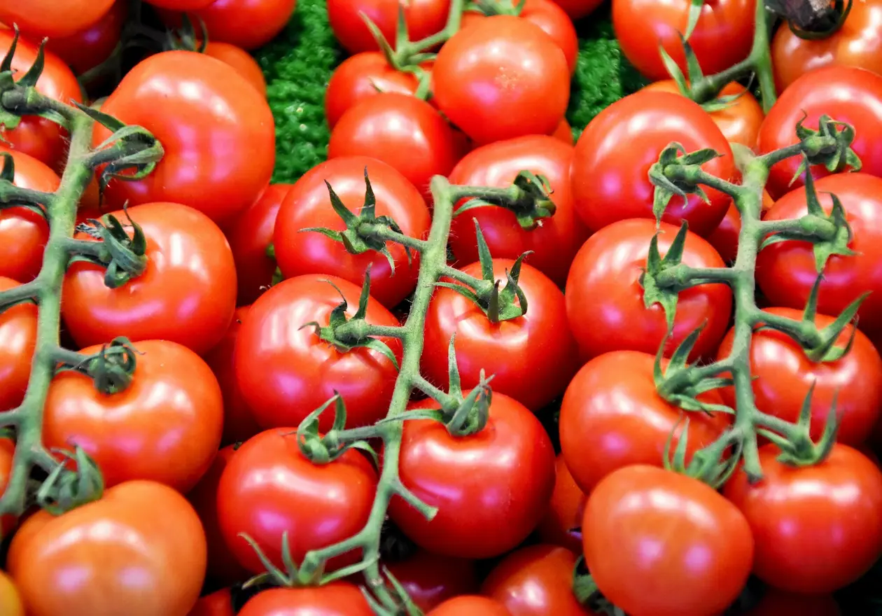 tomatoes vegetable juice