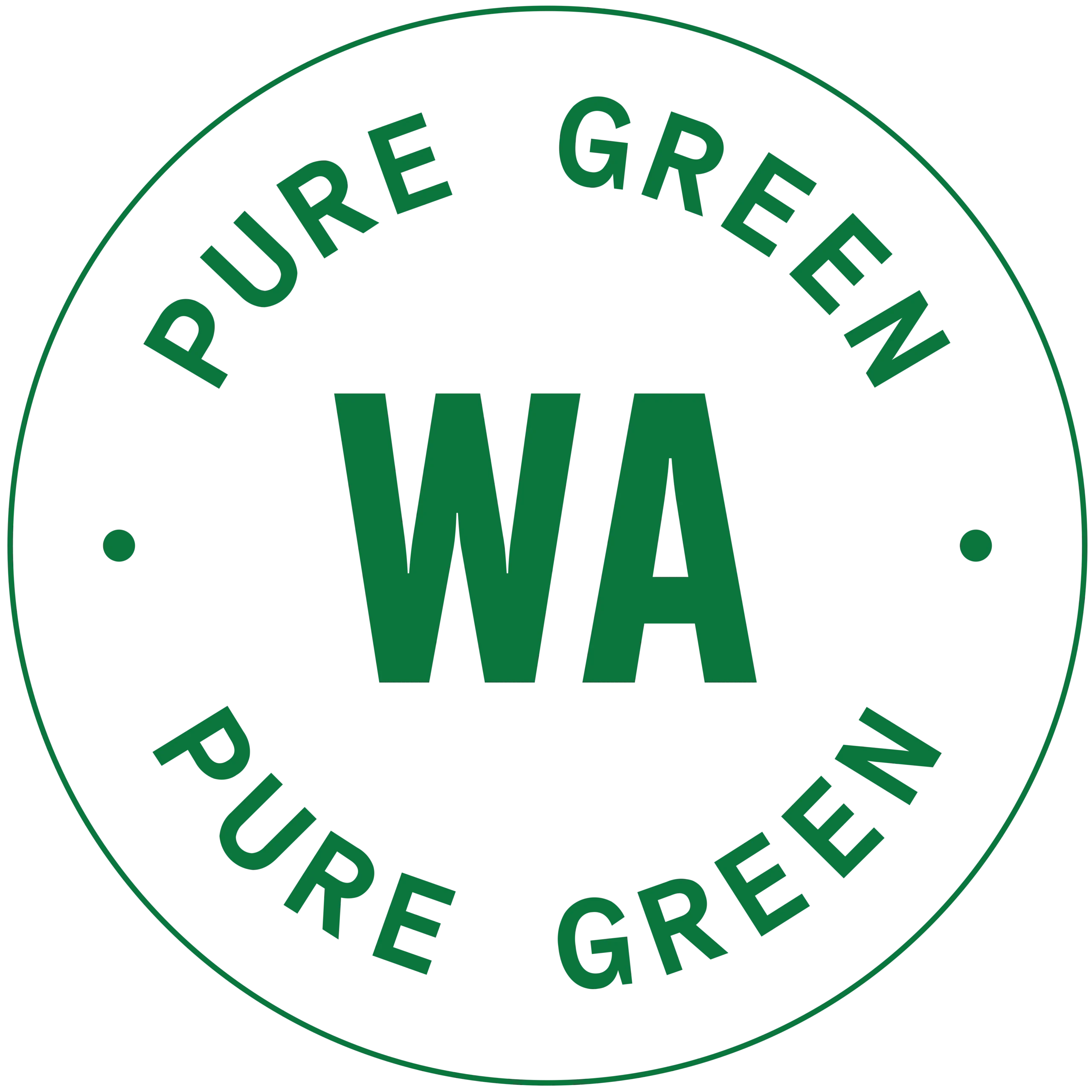 Washington Emblem