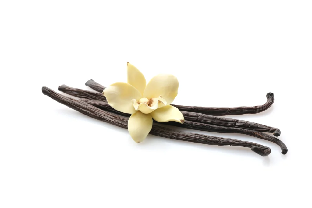 Vanilla