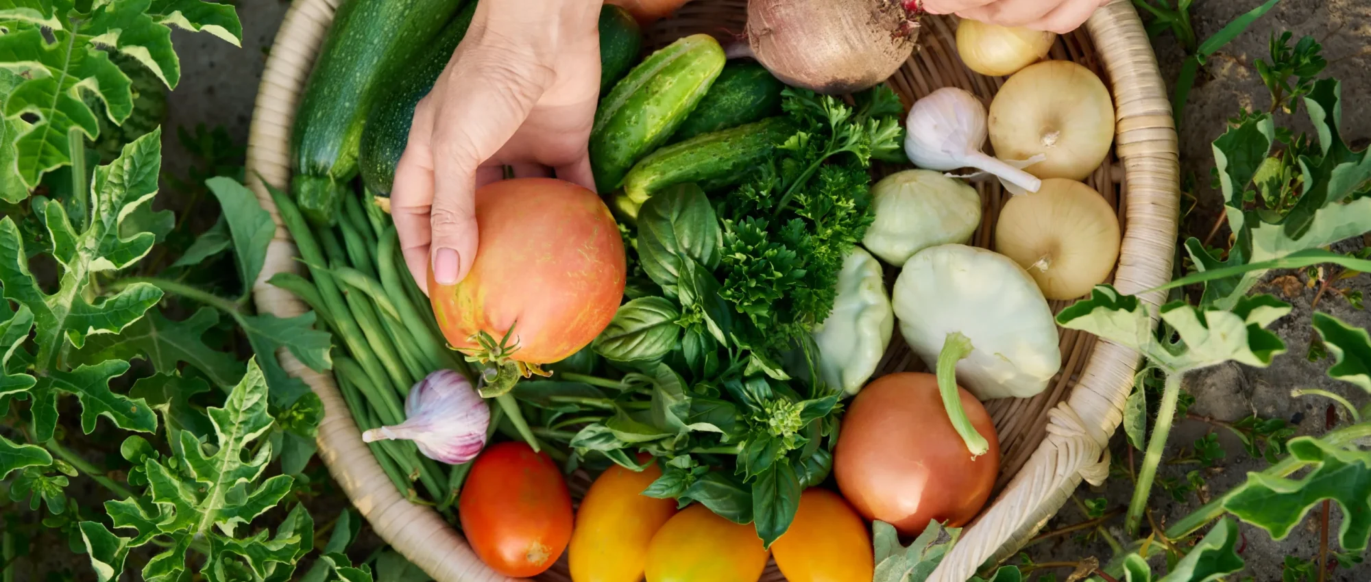 vegetables